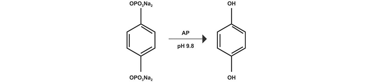 https://s7e5a.scene7.com/is/image/metrohm/Electroactive%20enzymatic%20components?qlt=85&ts=1768834497931&dpr=off